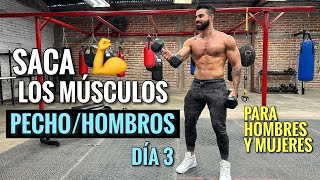 Rutina de PECHO Y HOMBROS 20 Min Ejercicios para SACAR LOS MUSCULOS [upl. by Arved652]