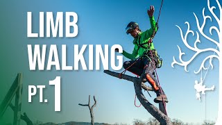 Limb Walking Tricks Techniques for Climbing Trees SRT Pt1 [upl. by Woodruff492]