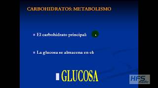 BIOQUIMICA CARBOHIDRATOS aspectos básicos aplicados al ejercicio físico [upl. by Rosie]