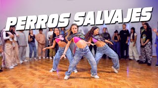 DADDY YANKEE  PERROS SALVAJES Official Video  Coreografía por Emir Abdul Gani🕺 [upl. by Ayad]