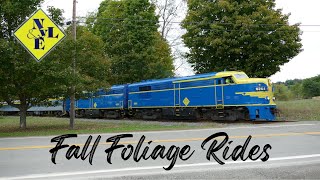 New York amp Lake Erie Railroad Fall Foliage [upl. by Ollie]