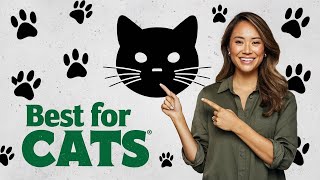 2024s TOP 5 Cat Food Trends You Wont Believe [upl. by Culhert]