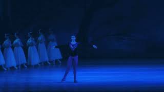 Grand Kyiv Ballet [upl. by Enyawal]