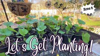 Planting Hollyhocks Bachelors Buttons and Poppies Zone 6 Cottage Garden Vlog [upl. by Icul]