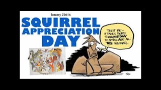 Squirrel Appreciation Day [upl. by Whyte]