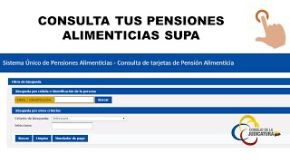 Consultas Pensiones Alimenticias [upl. by Ahsial]