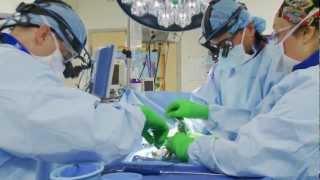 Minimally Invasive Spine Surgery [upl. by Eak]