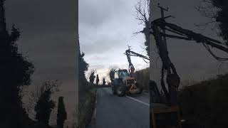 SAFETY MEASURE ASH DIEBACK FELLING TREES [upl. by Older]