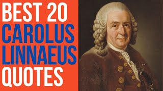 Best 20 Carolus Linnaeus Quotes  The Swedish Botanist Physician and Zoologist  DailyQuotes [upl. by Korney]