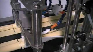 manicotti production line with electric blancher [upl. by Marelya]