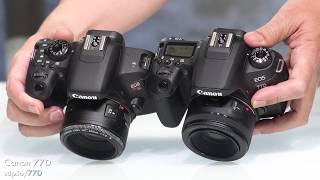 Canon SL2 vs T7i vs 77D 200D vs 800D vs 77D Which 📷 is best [upl. by Nonnaihr]