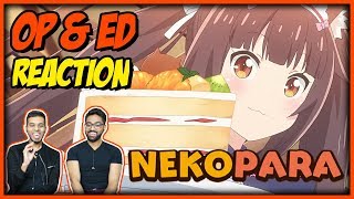 NEKOPARA OP amp ED REACTION Anime Reaction 37 [upl. by Hourigan772]