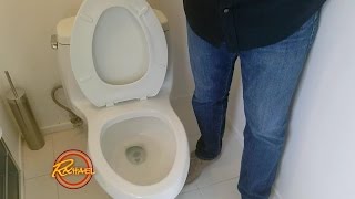 Clean Your Toilet and Sinks with Denture Tablets [upl. by Einiffit709]