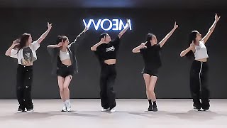 MEOVV  MEOW Dance Practice MIRRORED [upl. by Latterll]