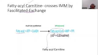 Transport across Mitochondrial Membrane Carnitine Shuttle explained in Hindi [upl. by Allegna]