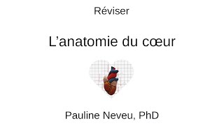 Physiologie CardioVasculaire – Réviser l’anatomie du cœur 001  Dr Pauline Neveu [upl. by Eihcra]