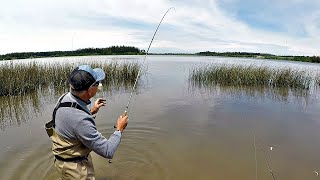 PESCA ENTRE LOS JUNCOS DE LA LAGUNA CON LINDAS SORPRESAS [upl. by Haimerej]