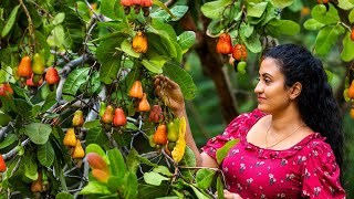 Traditional Cashew Apple amp Nut Recipes 🍎 Delicious Fruit Dishes from Sri Lanka Village Food [upl. by Berlauda]