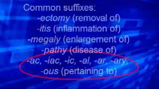 Med Term 2 Roots prefixes suffixes [upl. by Ellimak]