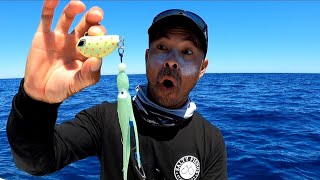 This Snap Bait Catches Fish Rottnest Island Australia [upl. by Wrench]