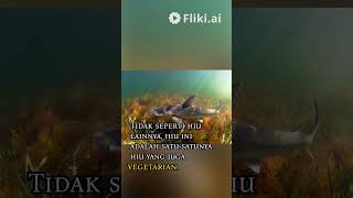 Bonnethead Shark youtubeshorts faktaunik laut shark tiktok shorts [upl. by Yenattirb]