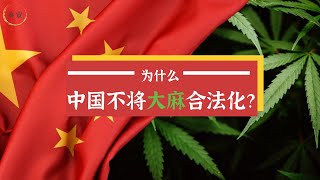 为什么中国不将大麻合法化？ [upl. by Anaimad]