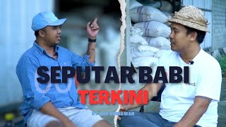 WAYAN SETIAWAN LIKA LIKU PETERNAK BABI TERKINI di BALI [upl. by Mata988]