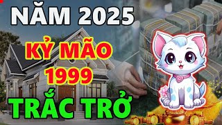 Tử vi tuổi KỶ MÃO 1999 năm 2025 NĂM ĐẦU TAM TAI dũng cảm đối diện sẽ vượt qua trở ngại [upl. by Stilu]