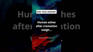 Human ashes after cremation weigh shorts facts [upl. by Campney]