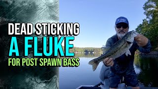 Dead Sticking A Fluke For Post Spawn Bass lakelanierfishing2024 bassfishing [upl. by Irma]