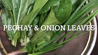 Masarap na nilagang Baka with Pechay Gabi root Onion Leaves Shorts Ashley Dennis Vlog [upl. by Akienat]