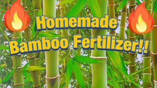 HOW TO Fertilize bamboo [upl. by Adnorrehs]