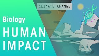 Human Impact  Environment  Biology  FuseSchool [upl. by Russian901]