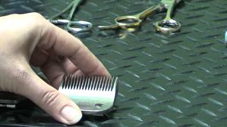 Pet Grooming Hand Tools for the DoItYourself Dog Groomer [upl. by Gerhan]