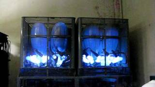 Mercury Arc Rectifier [upl. by Kyrstin]