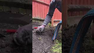 Who Likes Edging In The Garden satisfyin g lawncare lawn edge shorts gardening diygarden [upl. by Gerlac]