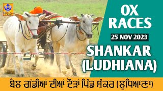 🔴Live Shanker  Near Dehlon  Ludhiana  Ox Races  25 Nov 2023 [upl. by Eivlys940]