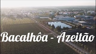 AZEITÃO  vinhos BACALHÕA [upl. by Yroggerg]