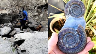 Fossil Hunter Finds Landslide FULL Of Fossils [upl. by Ylek]