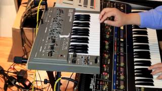 quotThe Salamanderquot  song with JP6 SH101 and TR707 [upl. by Nehgem502]