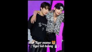 Mah Tiger mama 🐯🐰 part 5 taekook namjin yoonmin hobi fftamil voiceovertamil [upl. by Niar]