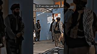 Mullah yaqoob mujahid atitude status taliban viralvideo viralshorts [upl. by Atiloj]