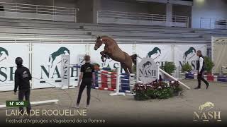 N°108  Laika de Roqueline  TRAINING VENTES ELITES NASH 2024 [upl. by Leggett]