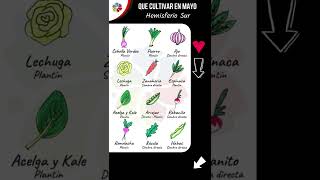 🌱 Que SEMBRAR y CULTIVAR en MAYO  Hemisferio Sur [upl. by Thetos]