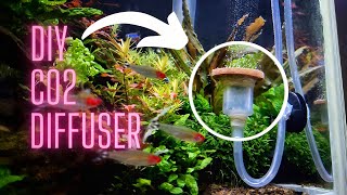 How to make a CO2 diffuser  Cheap CO2 diffuser and CO2  Full DIY CO2 system [upl. by Ahsikcin]