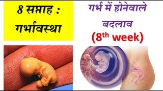 8 weeks of pregnancy and baby development in hindi [upl. by Erminna]