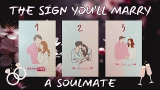 Whos The SOULMATE Youll Marry PICK A CARD Tarot Reading [upl. by Homere]