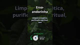 tesjpja umbanda axe espiritualidade umbandasagrada [upl. by Cinimmod]