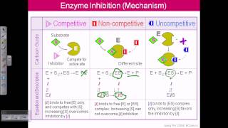 Enzyme inhibition [upl. by Ezzo]