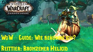 WoWGuide Wie bekomme ich das Reittier Bronzener Helicid  Bauplan Bronzener Helicid [upl. by Hemphill971]